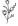 Logo di Zarposh